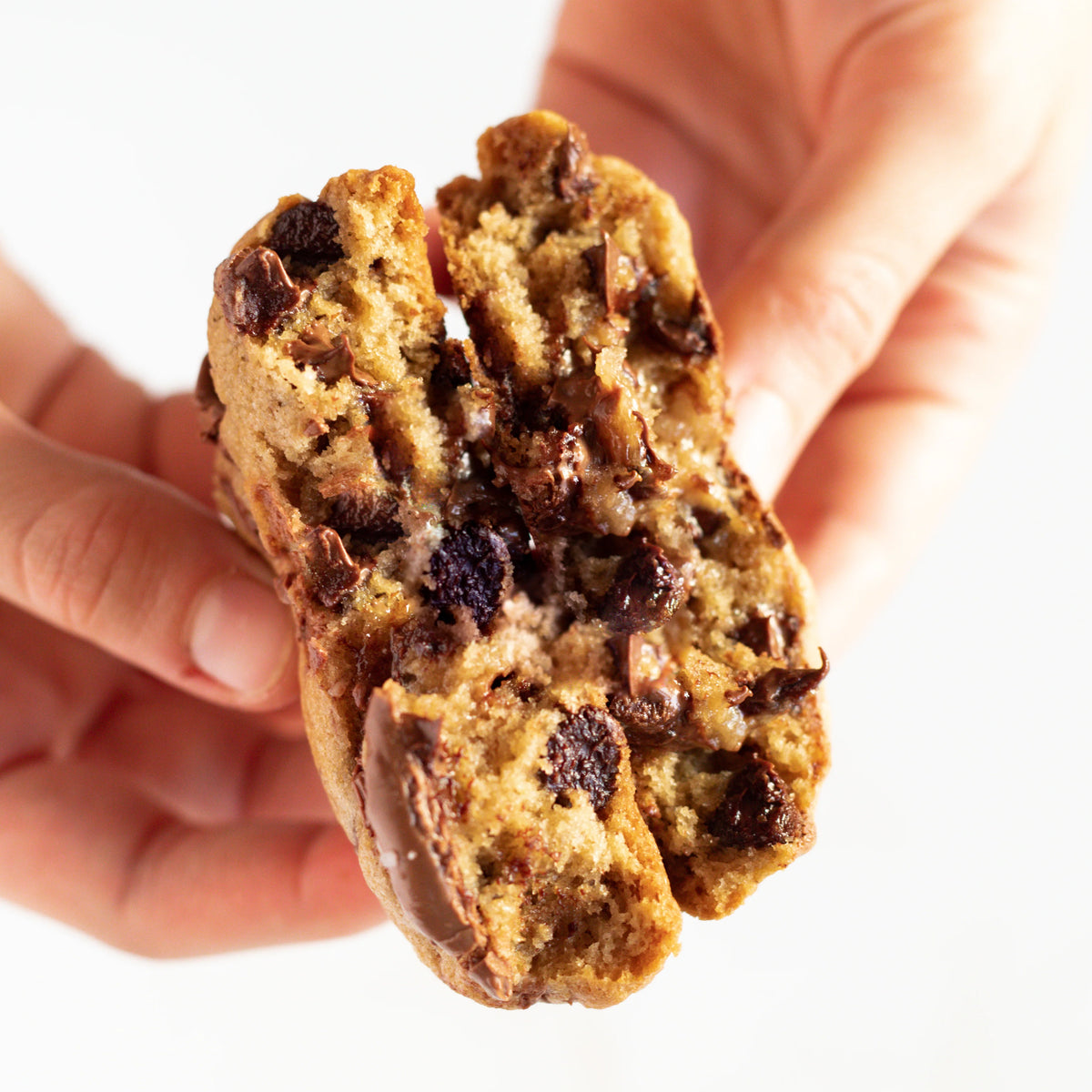 Cookie Box (12ct)